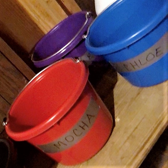 Color-Coded Feeding Buckets