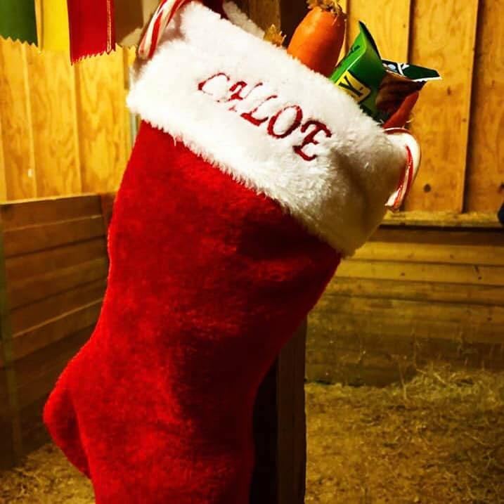 Chloe's Stocking