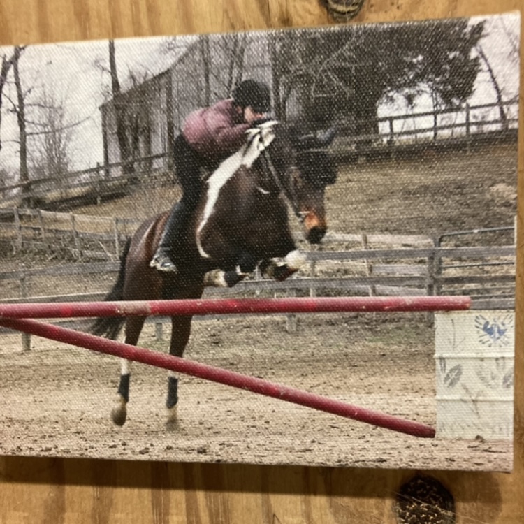 Canvas of Jenna and Dreamer