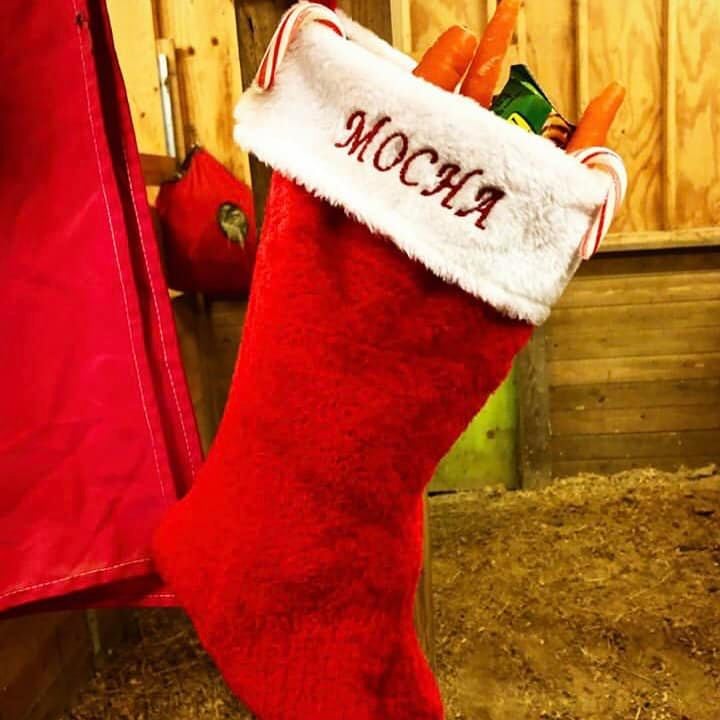 Mocha's Stocking