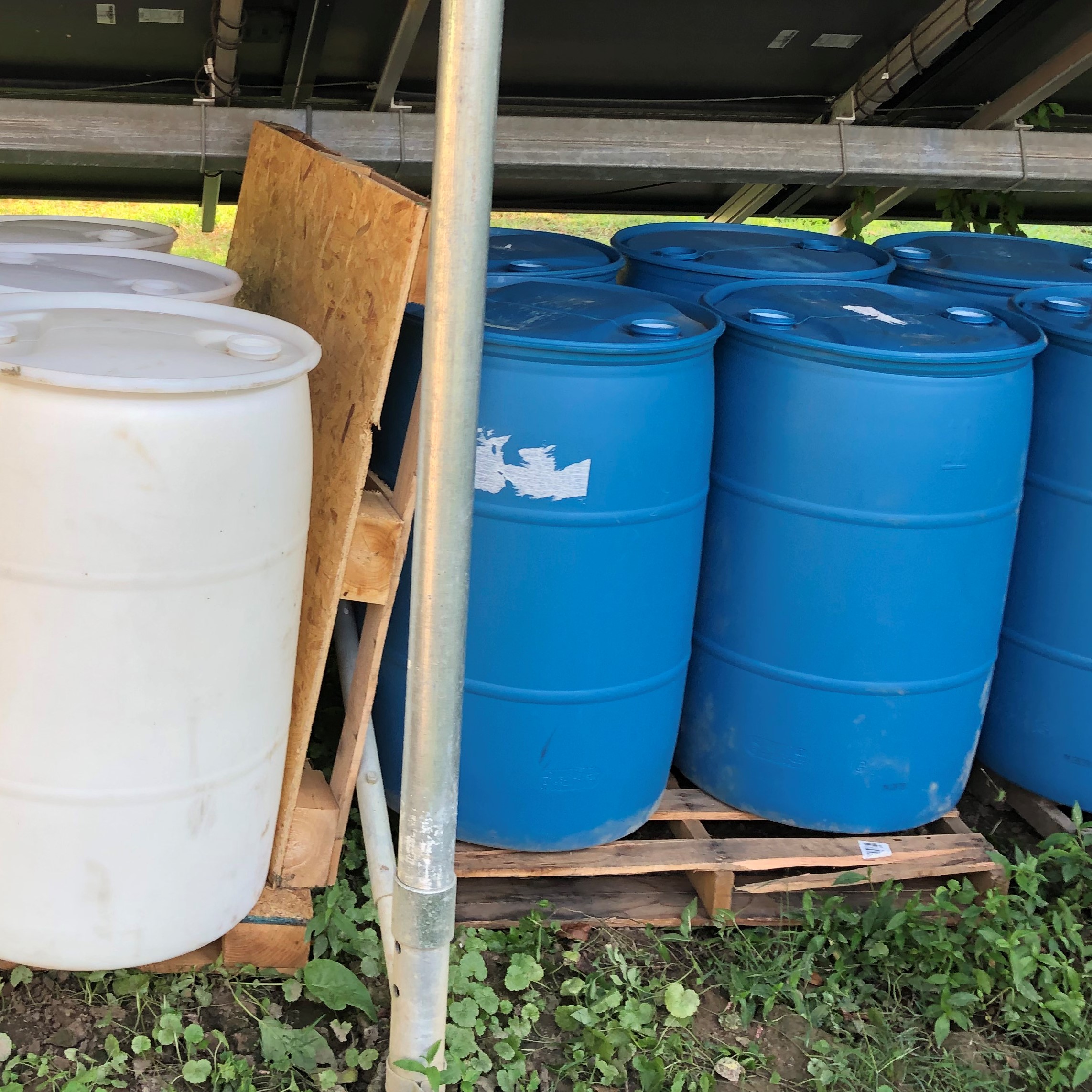 Craigslist Win: Barrels