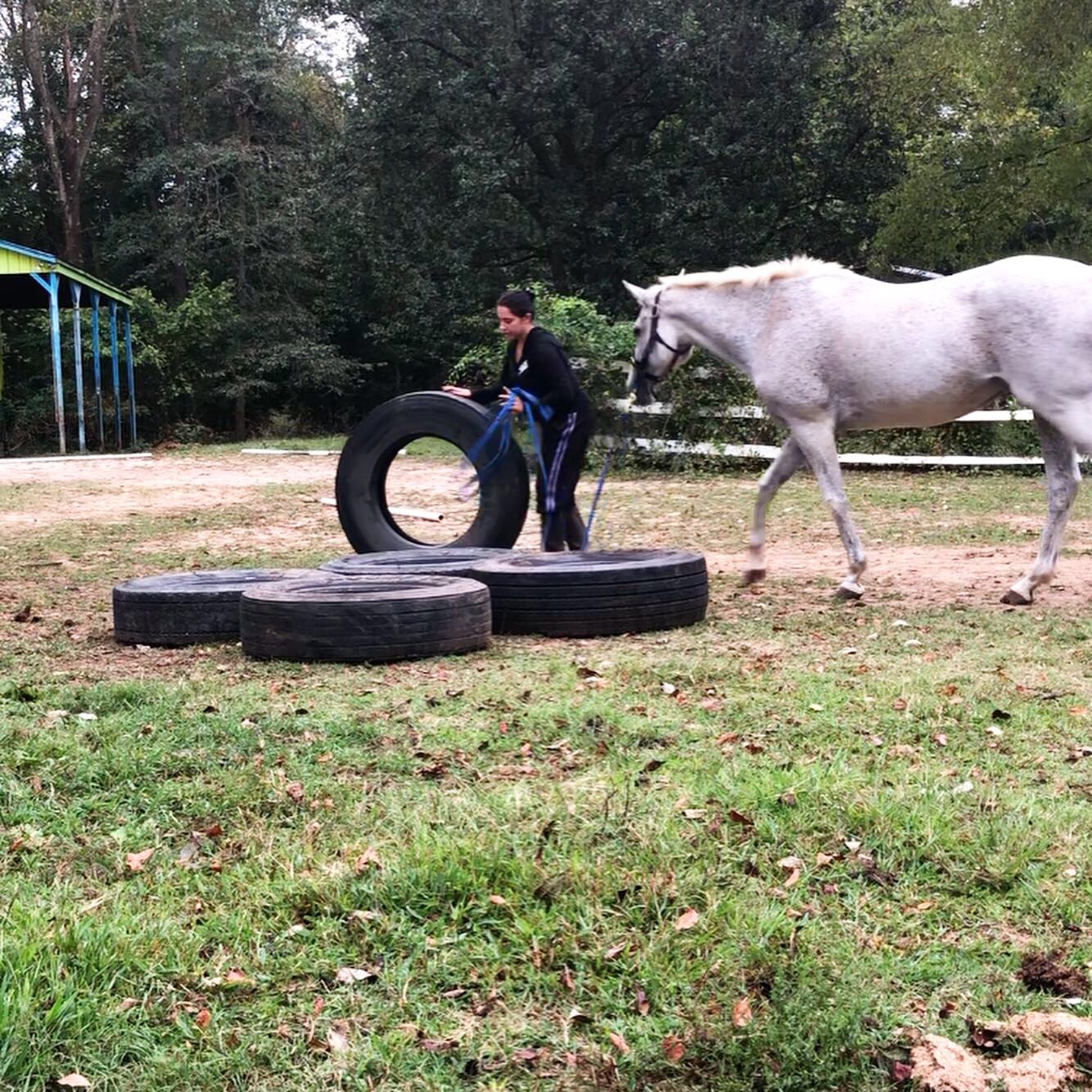 Already Playing with Tires