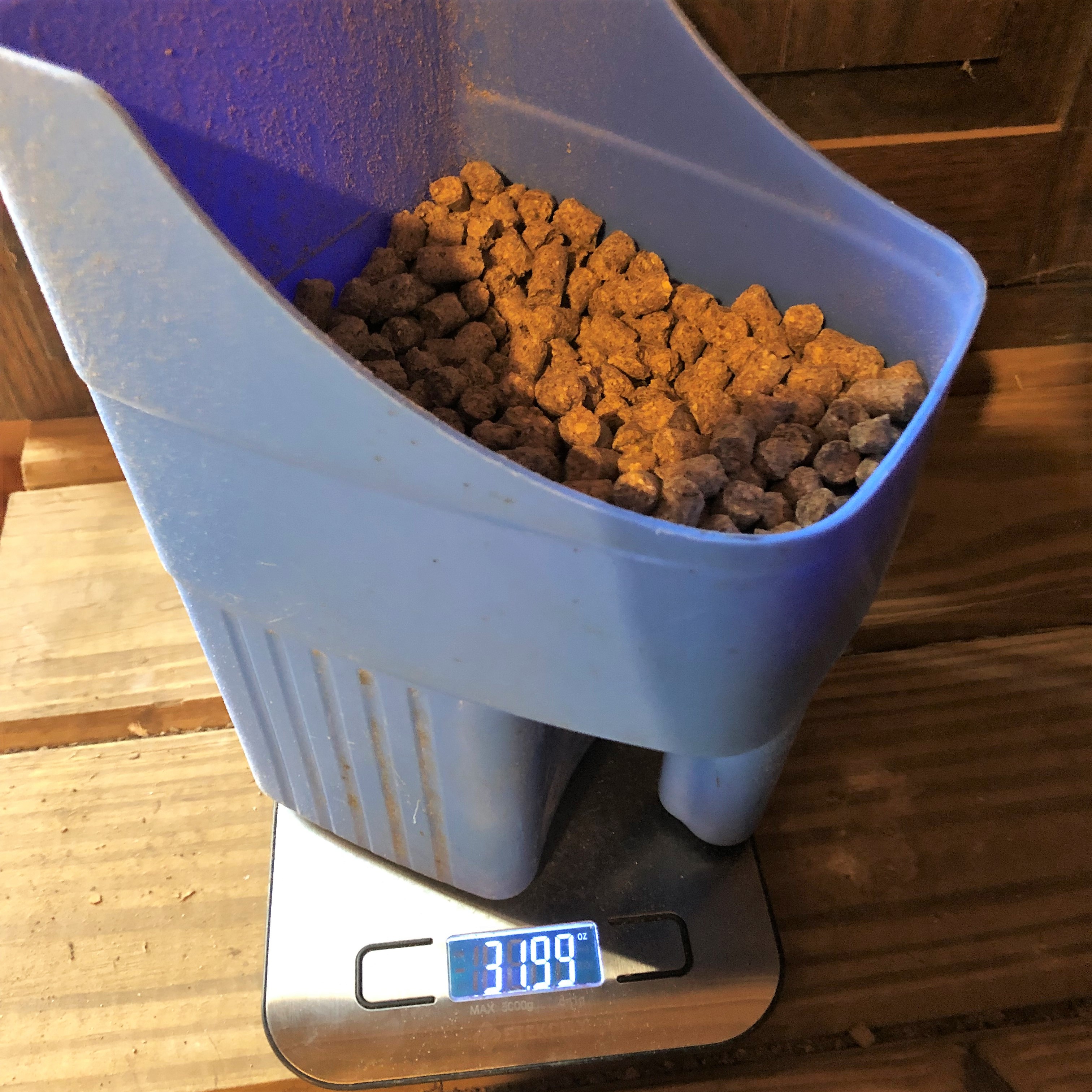 Grain Feed Scale