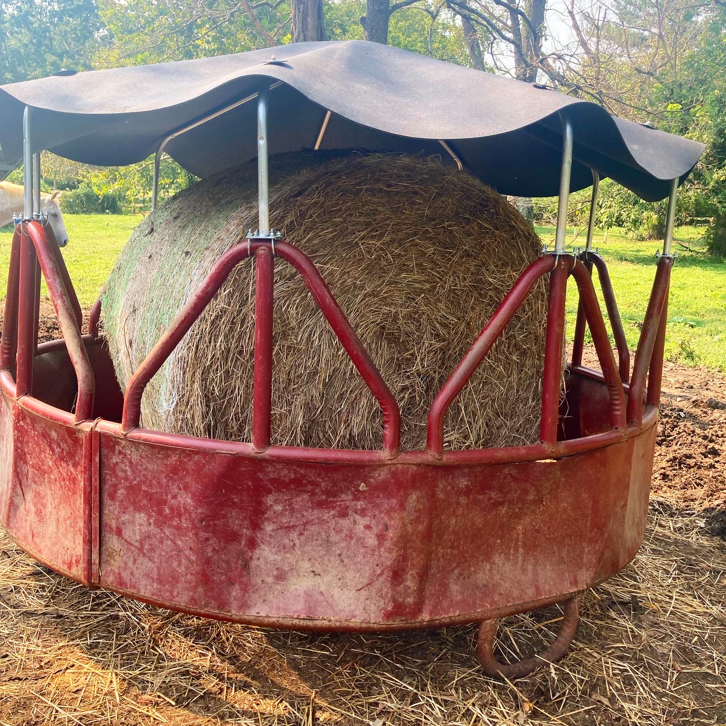 Hay Ring with Cover with Bale