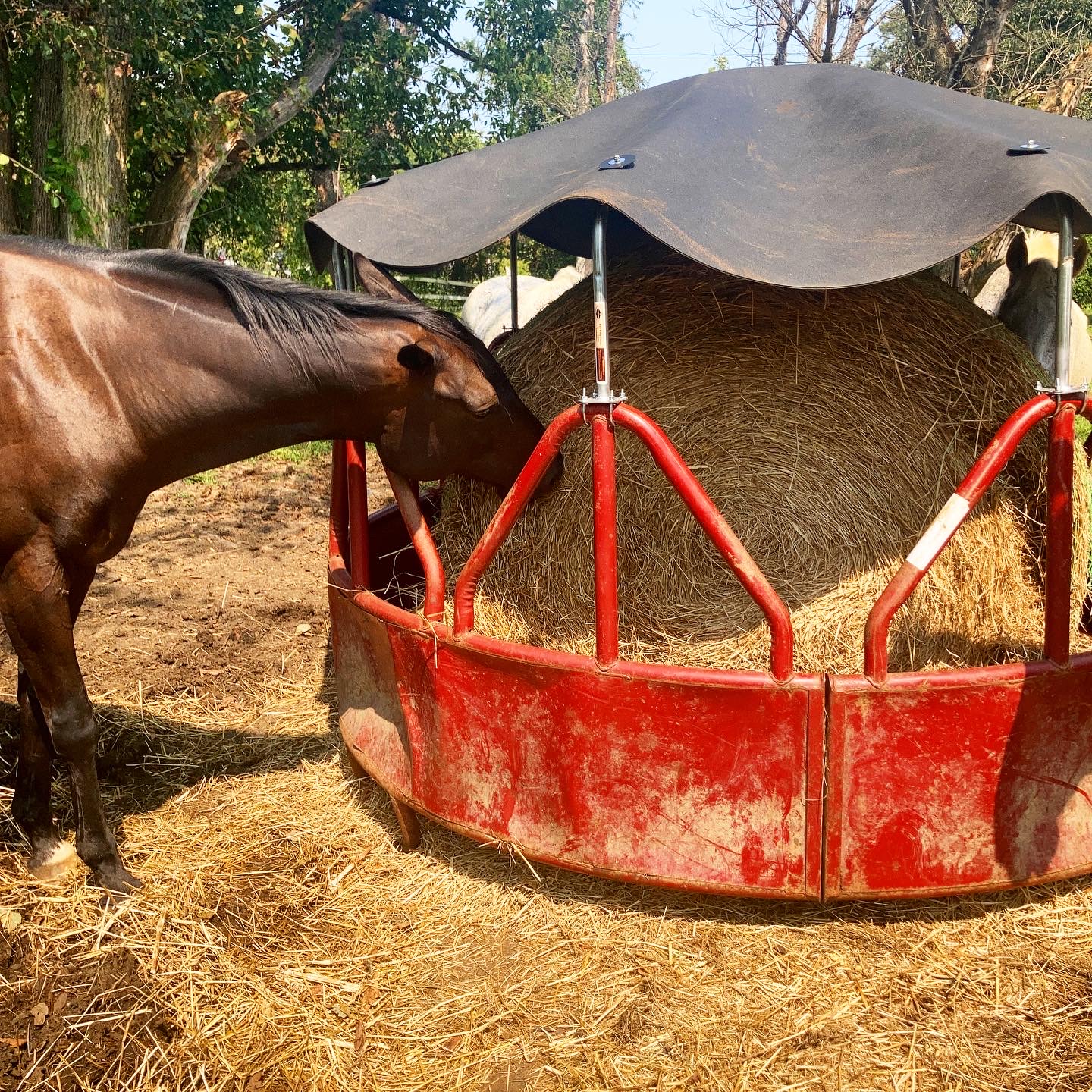 New Hay Ring Cover
