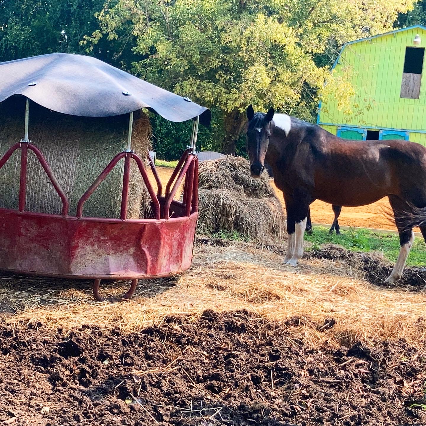 New Hay Ring Cover