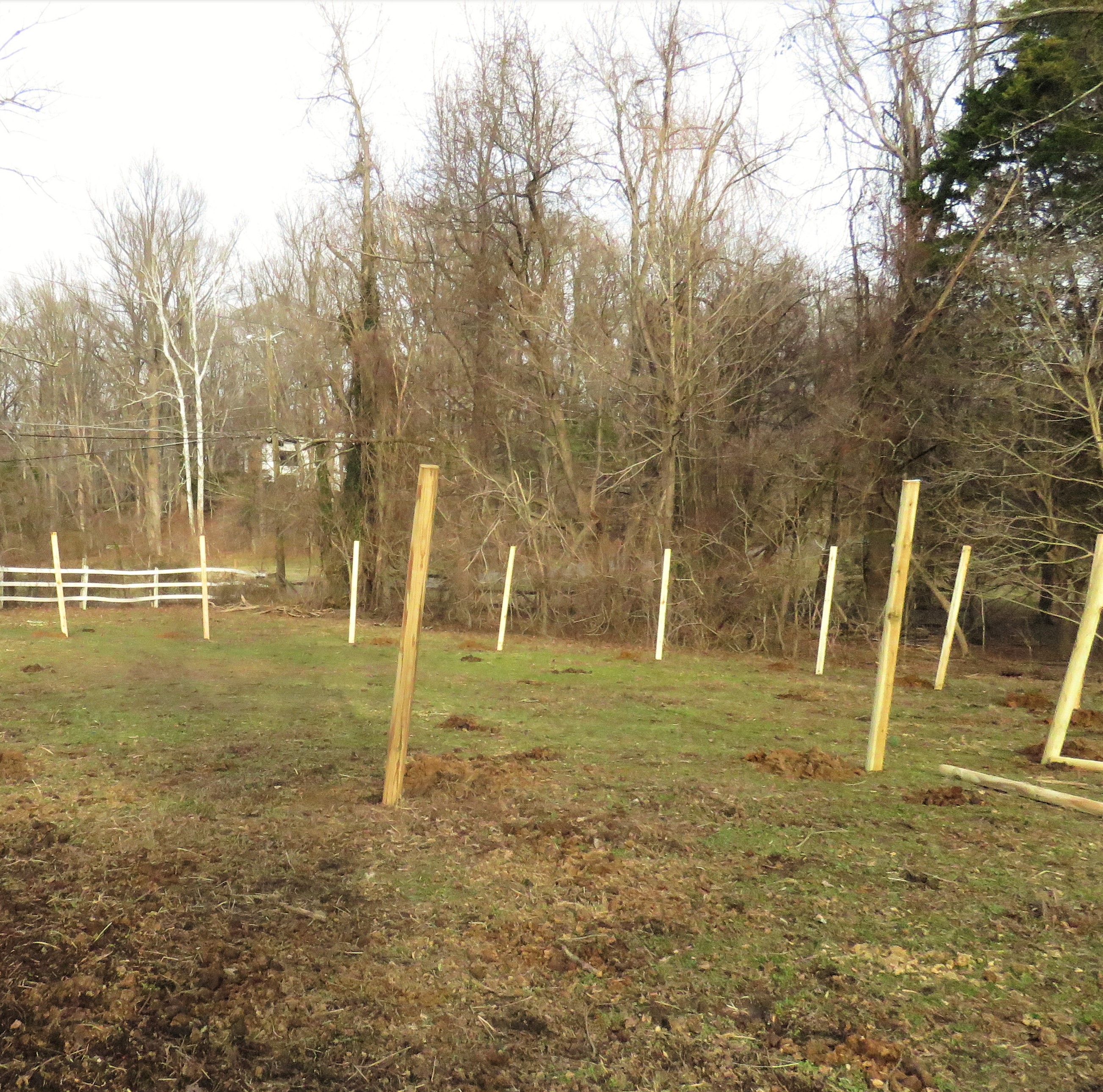 DIY Round Pen Testing Holes