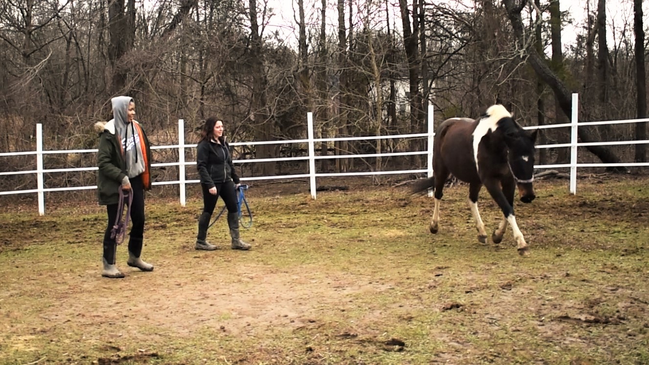 DIY Round Pen