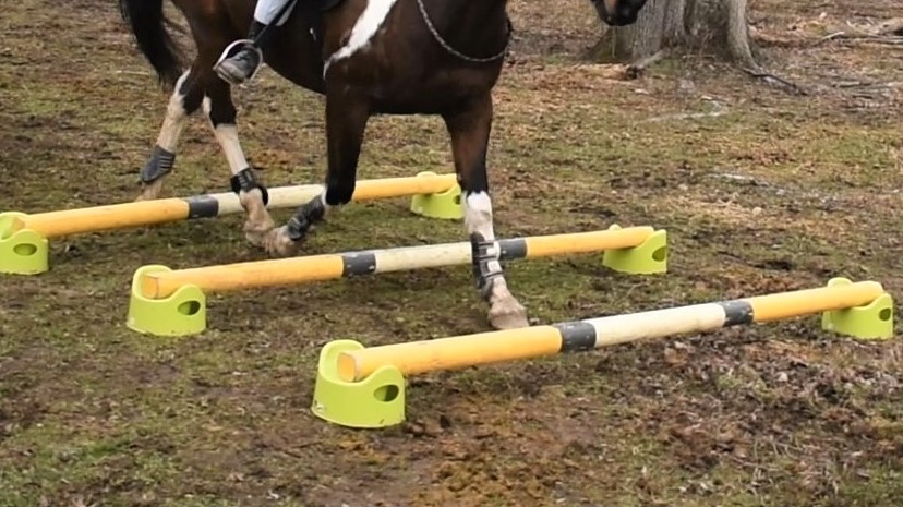 Jump Cavaletti