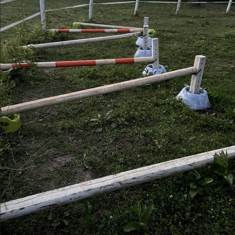 DIY Raised Poles