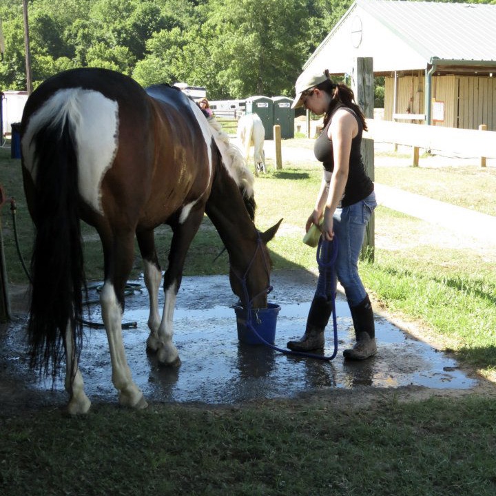 Jenna & Dreamer