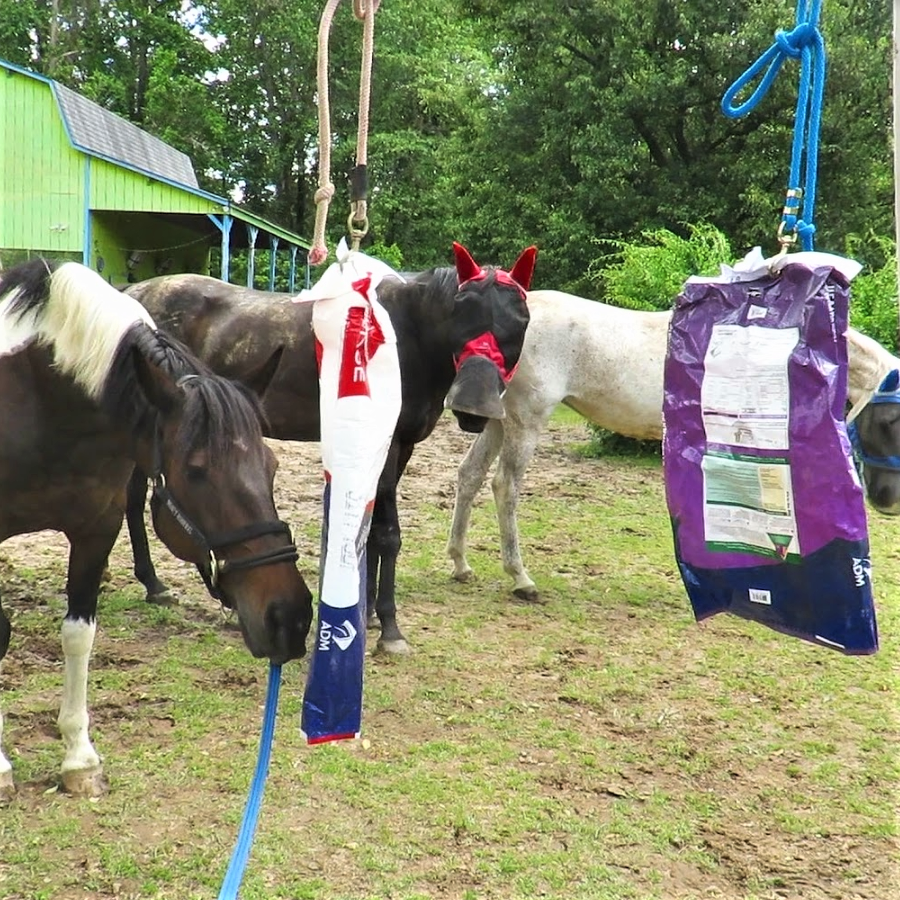 Playing with the Mares