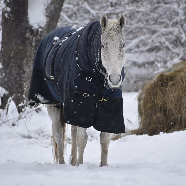 Chloe in heavy blanket with wraps