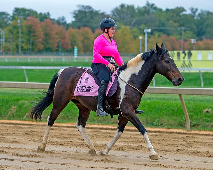 Jenna & In Your Dreams bareback and bridleless at Pimlico's Canter for the Cause 2021