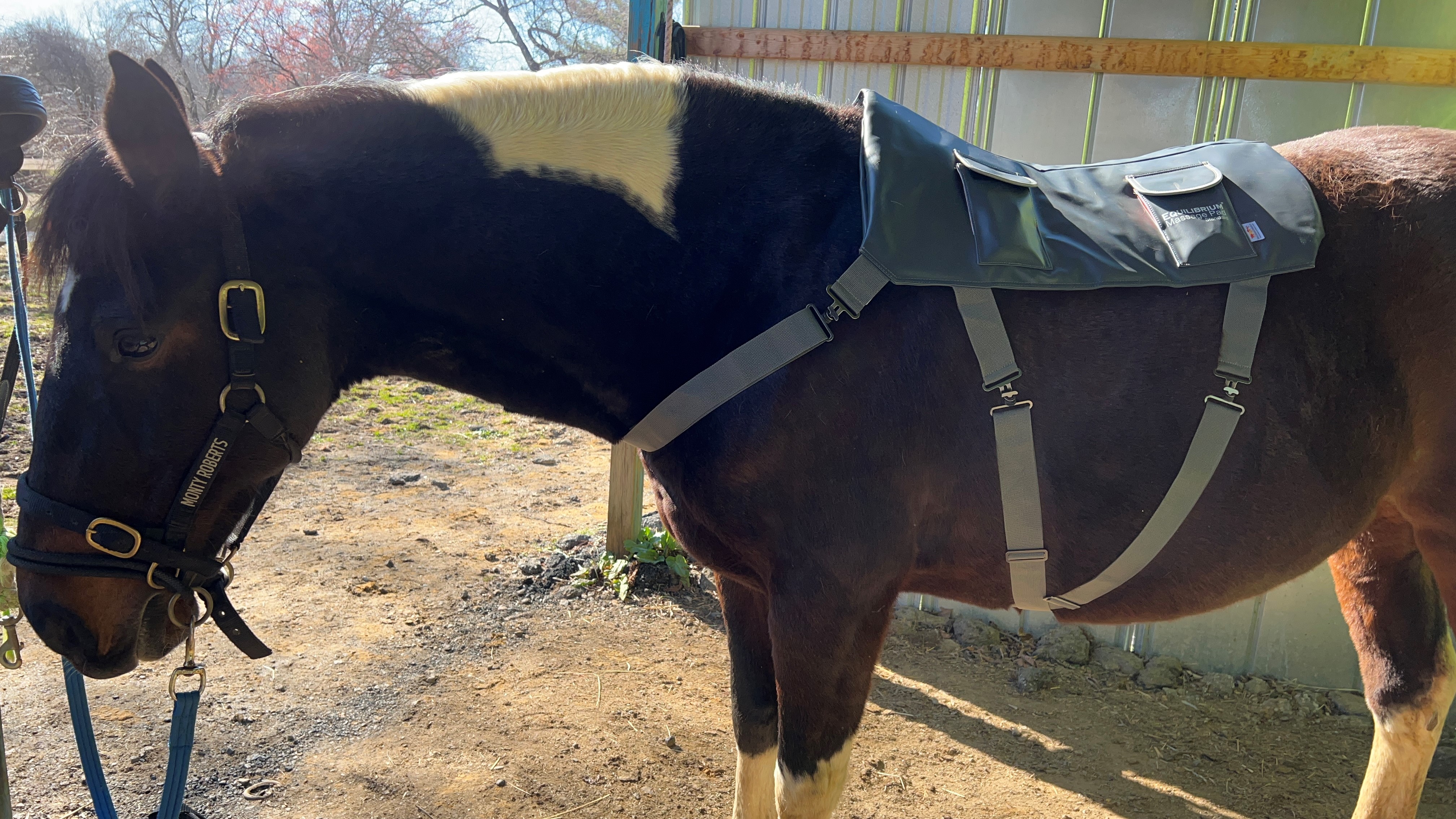 Dreamer falling asleep with massage pad