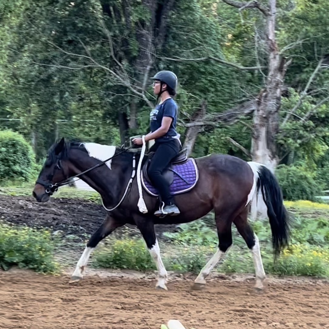 EquiCube & Giddy Up Rope