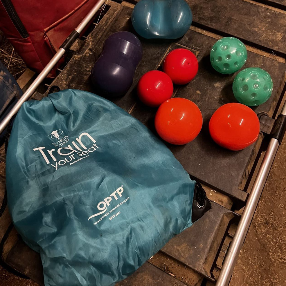 Franklin Method Ball Set - Seat Trainer