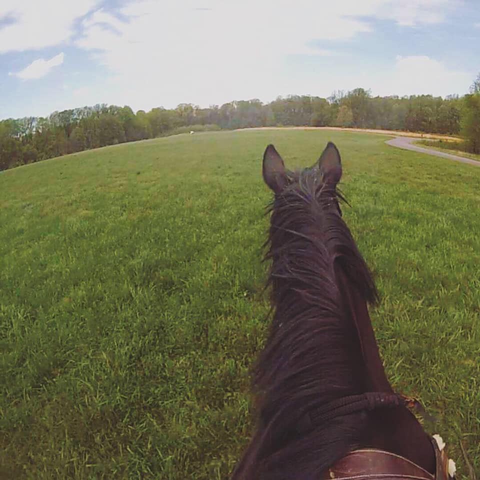 GoPro 1st Generation Video Screenshot