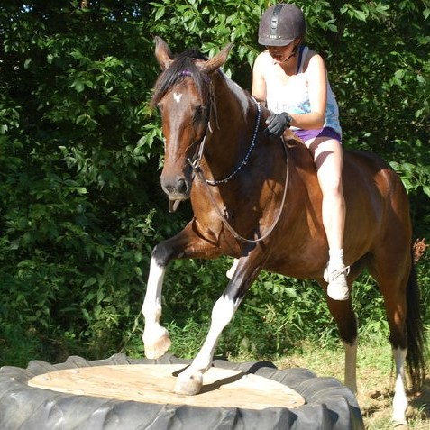 Conquering the Scary Tire