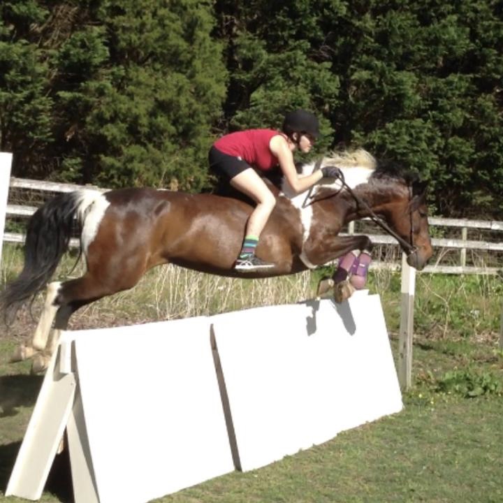 Jenna & Dreamer jumping a 3' DIY Coop Bareback