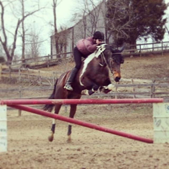 Jenna & Dreamer Schooling Bareback for Willowbend Jumper Show