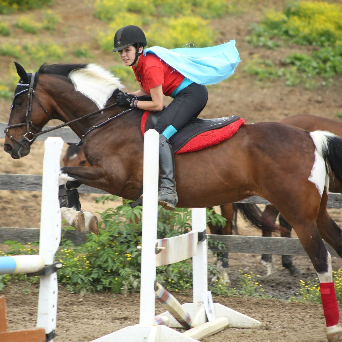 Jenna & Dreamer at Willowbend's Jumper Challenge